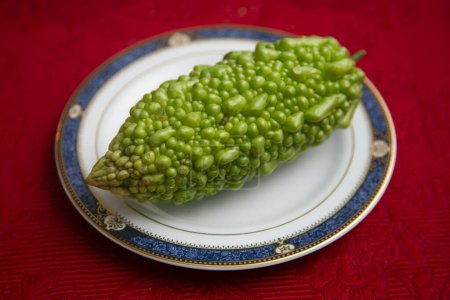 Foto de Goya o melón amargo es un vegetal largo y verde que se caracteriza por su piel llena de baches y su sabor amargo y distintivo.. - Imagen libre de derechos