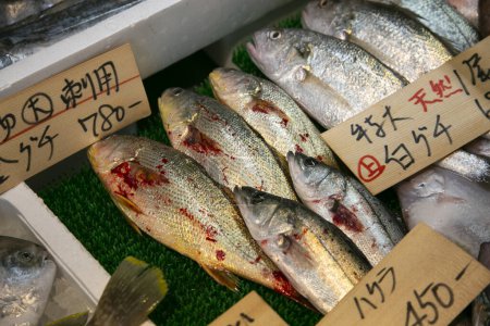 Foto de Fukuoka, Japón; 1 de octubre de 2023: Vista interior de un restaurante y una tienda de pescado en Yanagawa. - Imagen libre de derechos