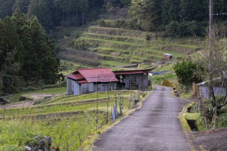 Foto de Carreteras sinuosas en las montañas de la península de Wakayama en Japón - Imagen libre de derechos