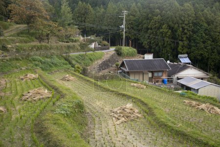 Téléchargez les photos : Rizières au milieu des montagnes de la préfecture de Wakayama au Japon. - en image libre de droit
