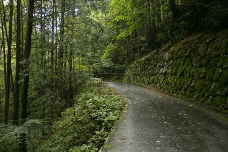 Foto de Recorriendo la ruta de senderismo siguiendo el sendero Nakasendo entre Tsumago y Magome en Kiso Valley, Japón. - Imagen libre de derechos