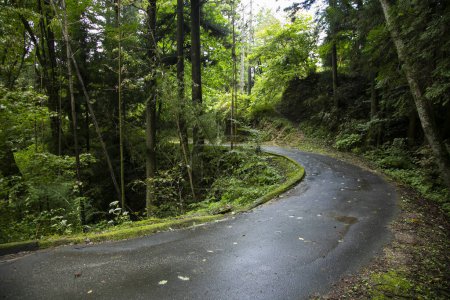 Foto de Recorriendo la ruta de senderismo siguiendo el sendero Nakasendo entre Tsumago y Magome en Kiso Valley, Japón. - Imagen libre de derechos