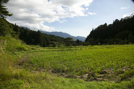 Téléchargez les photos : Rizières dans la vallée du Kiso à côté du sentier Nakasendo et Magome Juku au Japon. - en image libre de droit