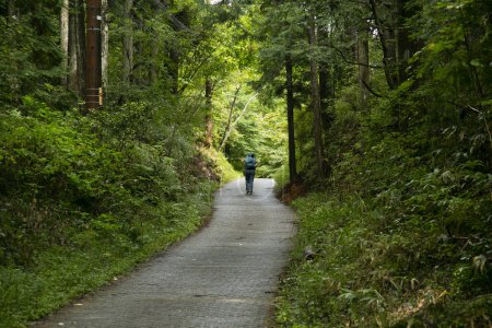 Téléchargez les photos : Promenade sur la route suivant le sentier Nakasendo entre Nagiso et Tsumago dans la vallée de Kiso, Japon. - en image libre de droit