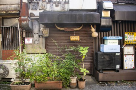 Photo for Tokyo, Japan 1st October 2023: Yanaka is a neighborhood in Tokyo famous for its street market, its beautiful streets and its cemetery. - Royalty Free Image