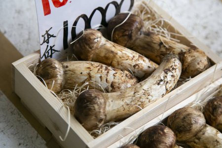 Matsutake-Pilze an einem Imbissstand auf dem Tsukiji Outer Market in Tokio, Japan.