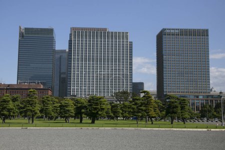 Garden and trees outside the Japanese Imperial Palace in Tokyo