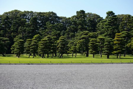 Photo for Garden and trees outside the Japanese Imperial Palace in Tokyo - Royalty Free Image