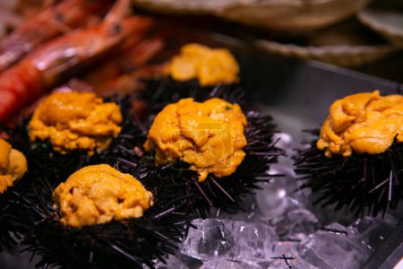 Photo for Fresh Uni in a market stall in Nishiki fish market in Kyoto, Japan. - Royalty Free Image
