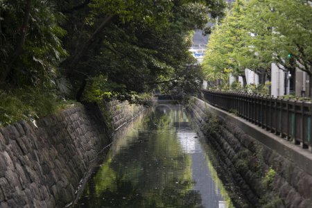 Téléchargez les photos : Les Jardins de Hamarikyu sont un parc public situé à Ch, Tokyo, Japon. Situé à l'embouchure de la rivière Sumida, ils sont entourés de bâtiments modernes. - en image libre de droit