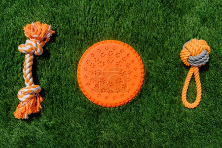 Foto de Set of orange rag and rubber toys for dogs on synthetic grass, layout, hard light - Imagen libre de derechos