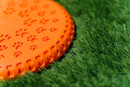 Foto de Orange rubber frisbee for dog - Imagen libre de derechos