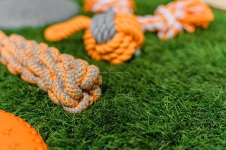 Foto de Set of orange rag and rubber toys for dogs on synthetic grass, layout, hard light - Imagen libre de derechos