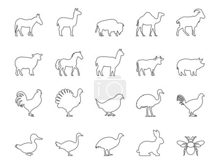 Téléchargez les illustrations : Ensemble d'icônes pour animaux de ferme et bétail. Cheval, mouton, chèvre, lapin. Un AVC modifiable. Icônes simples Collection vectorielle - en licence libre de droit