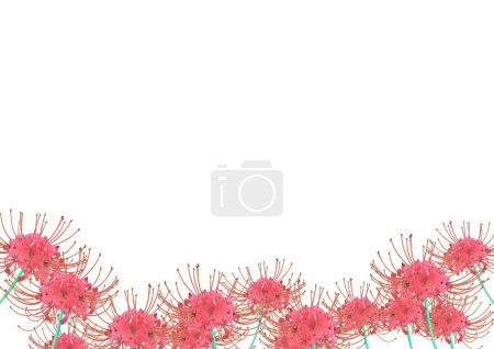 Illustration for Realistic higanbana illustration, frame - Royalty Free Image