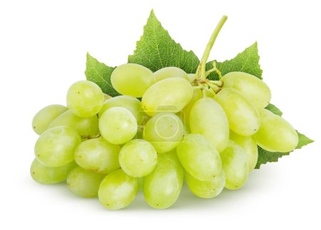 Isolated grapes bunch. Green (yellow) grapes with leaves isolated on white background with clipping path
