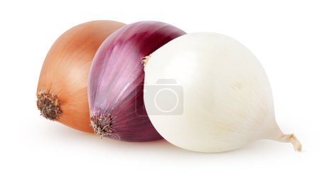 Foto de Cebollas aisladas. Cebolla blanca, roja, amarilla aislada sobre fondo blanco, con camino de recorte - Imagen libre de derechos