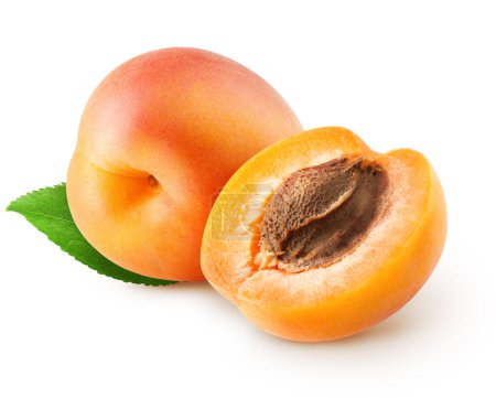 Isolierte Aprikosen. frische ganze Aprikosenfrüchte und die Hälfte mit Blättern isoliert auf weißem Hintergrund mit Schneideweg