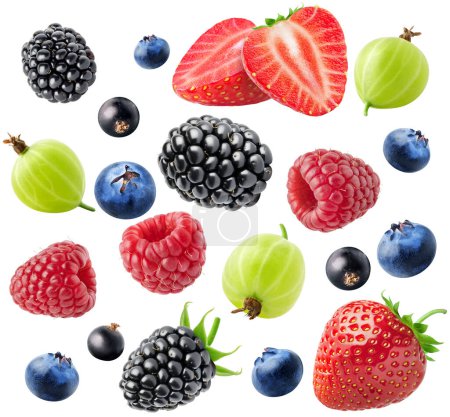 Vereinzelt gemischte frische Beeren. Eine Gruppe von Erdbeeren, Brombeeren, Blaubeeren, Stachelbeeren, Himbeeren und Johannisbeeren isoliert auf weißem Hintergrund mit Schnittpfad