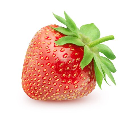 Isolierte Erdbeere. Ganze einzelne Erdbeerfrucht isoliert auf weißem Hintergrund mit Schneideweg