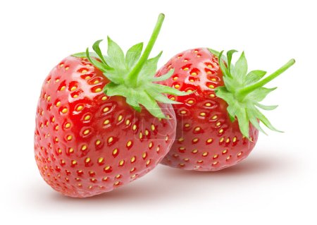 isolierte Erdbeere. zwei ganze Erdbeerfrüchte isoliert auf weißem Hintergrund, mit Schneideweg