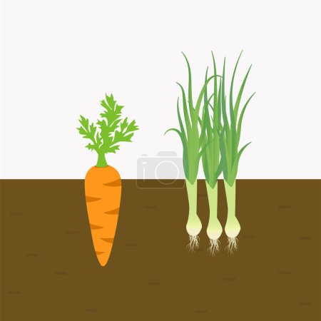 Foto de Zanahoria y puerro plantas vegetales cultivadas en el suelo. Verduras con raíces en el suelo. vector plano aislado - Imagen libre de derechos