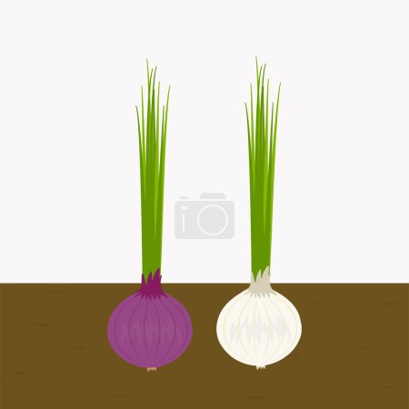 Foto de Plantas de cebolla cultivadas en el suelo. cebolla blanca y roja en el suelo. vector plano aislado - Imagen libre de derechos
