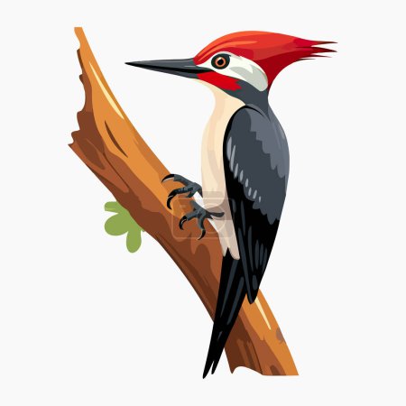 Foto de Pájaro carpintero en la rama del árbol: Vector plano Ilustración de un pájaro carpintero colorido encaramado en una rama - Imagen libre de derechos