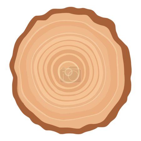 Anillo de madera tronco árbol. Sección transversal del tronco. rebanada de madera cortada aislada sobre fondo blanco.