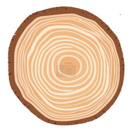 Foto de Anillo de madera tronco árbol. Sección transversal del tronco. rebanada de madera cortada aislada sobre fondo blanco. - Imagen libre de derechos