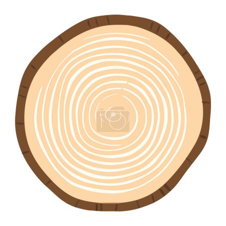 Foto de Anillo de madera tronco árbol. Sección transversal del tronco. rebanada de madera cortada aislada sobre fondo blanco. - Imagen libre de derechos