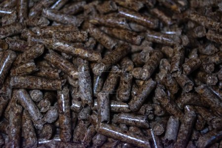 Photo for Pellets for burning in fireplace and heating. Ecological solutions for global warming. - Royalty Free Image