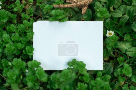 Foto de Nota de papel en blanco sobre hierba verde, vista superior con espacio de copia - Imagen libre de derechos