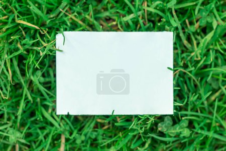 Foto de Nota de papel en blanco sobre hierba verde, vista superior con espacio de copia - Imagen libre de derechos