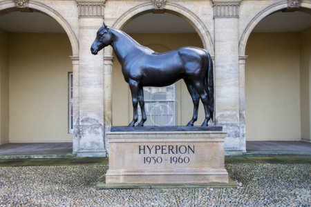 Photo for Hyperion statue 1930-1960. Newmarket. National Horseracing Museum - Royalty Free Image