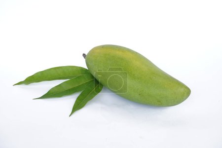 Téléchargez les photos : Doux manggo fond blanc - en image libre de droit