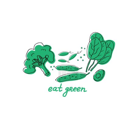 Illustration for Healthy food. Flat illustration of spinach, broccoli, green peas and cucumber with text Eat green. Hand drawn. Ideal for eco market, organic products, labels.Vector illustration - Royalty Free Image
