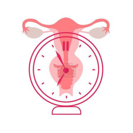 Téléchargez les illustrations : Menopause, women's health care. World Menopause Day. The concept of medicine, gynecology. Female reproductive system with a clock. Vector illustration. - en licence libre de droit