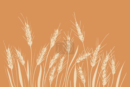 Field of ears of wheat. Heap of ears of wheat, dried whole grains. Cereal harvest, agriculture, organic farming. Background from ears of wheat drawn by hand. Design element.