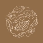 Cocoa. Hand drawing Cocoa beans, sketch of leaves, flowers and cocoa tree. Organic product. Doodle sketch for cafe, shop, menu. Parts of plants. For label, logo, emblem, symbol.Vector illustration