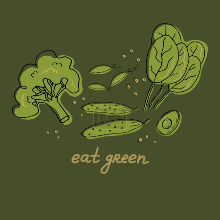 Illustration for Eat green. Hand drawn illustration and lettering quote - eat greens. Great typography for poster, card or restaurant. Healthy food hand drawn slogan with green decor. Artistic vector illustration - Royalty Free Image
