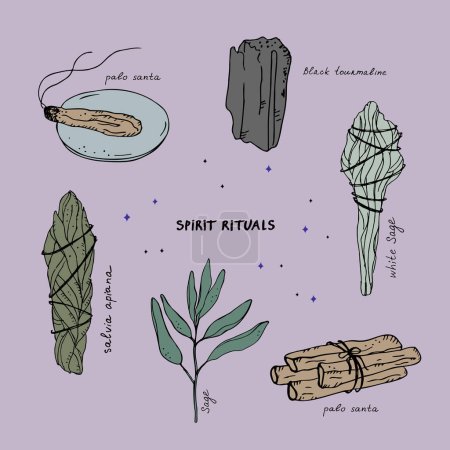 Spiritual rituals. Illustration with sage, Palo Santo sacred plant, tourmaline, aromatherapy sticks, fumigating plants.Lifestyle. Mystical hand-drawn art set with handwritten names of objects.Vector 