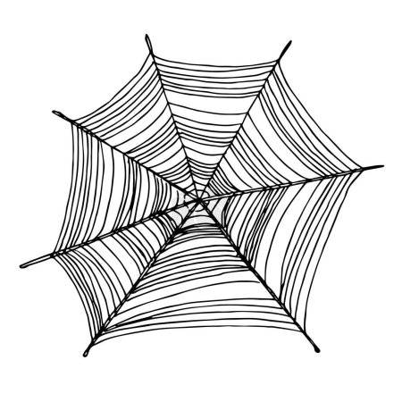 Illustration for Spider web sketch vector illustration hand drawn graphic. Cobweb  doodle. Design element. Net background for Halloween holiday, template for design, print. Isolated white background - Royalty Free Image