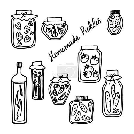 Illustration for Homemade pickles vector illustration doodle hand drawn on an isolated white background with lettering. Seasonal cooking food concept, design element for background, template, card, banner, poster. - Royalty Free Image