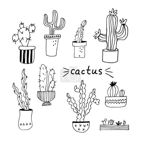 Illustration for Cacti different types vector doodle illustration hand drawn. actus home plant minimal style with lettering design element for flower shop, poster, background, template, card, logo - Royalty Free Image