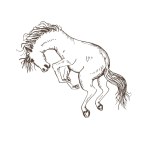 Horse on the hind legs in dynamics vector animal illustration on isolated white background. Wild rampant equine sketch.Equestrian sport, cowboy, wild animals. Hand drawn design element
