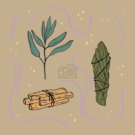 Illustration for Incense,smudge stick. Illustration of sage, dry white sage, Palo Santo sacred tree, incense sticks, aromatherapy and fumigation, spiritual practices. Hand drawn vector illustration - Royalty Free Image