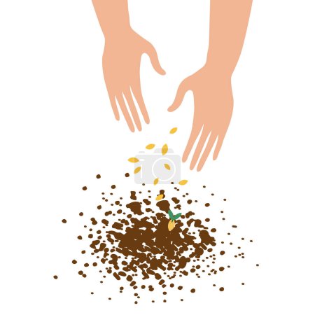Illustration for Hands throw seeds into the ground. Sower vector illustration, concept of farming, gardening, cultivation on isolated white background. Design element for poster, print, template, label, card - Royalty Free Image