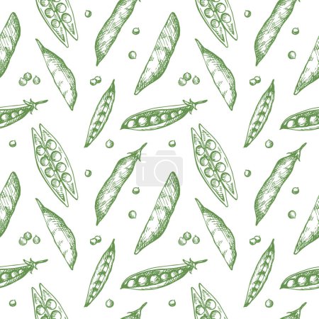 Pea plants seamless pattern. Background with peas and grains drawing. Hand drawn decorative ornament for packaging design, label, print, backdrop, card, template. Vector illustration design element