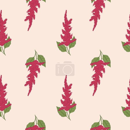 Illustration for Amaranth plant seamless pattern vector illustration repeating background. Hand drawn Pigweed flower, vegetarian nutrition, grains agricultural. For print, design, paper, label, wrapping, textile, card - Royalty Free Image